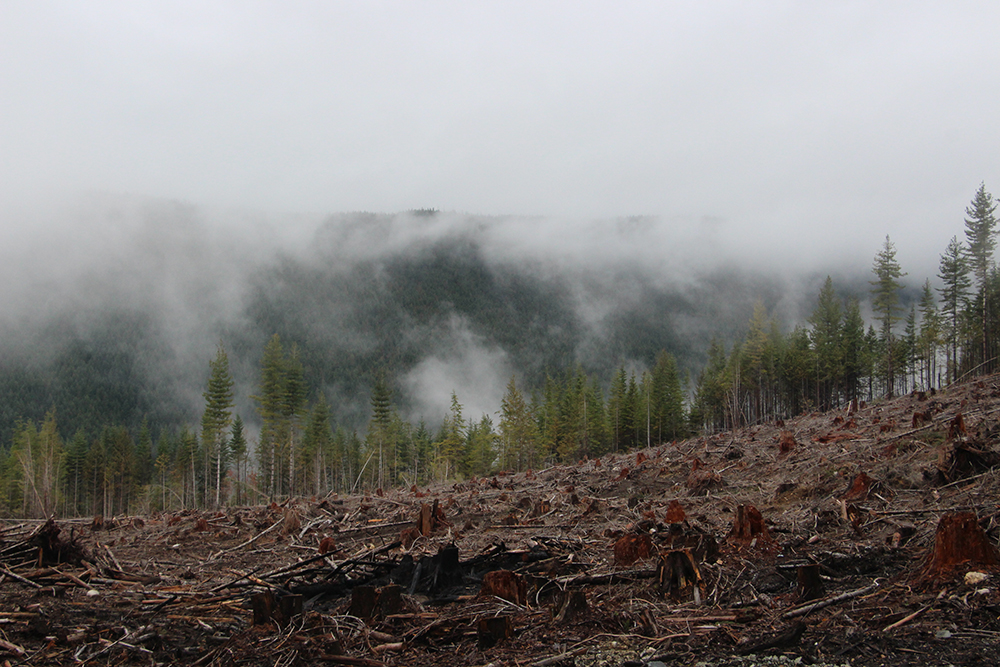 Field Report: Logging.Sucks