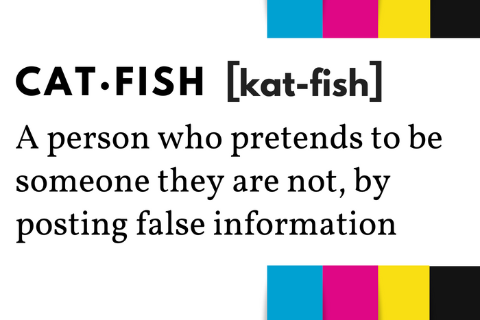 What is a Catfishing Company?